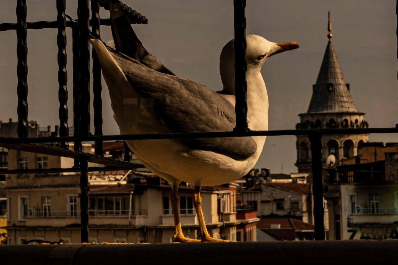 Aparthotel Galata M84 Estambul Exterior foto